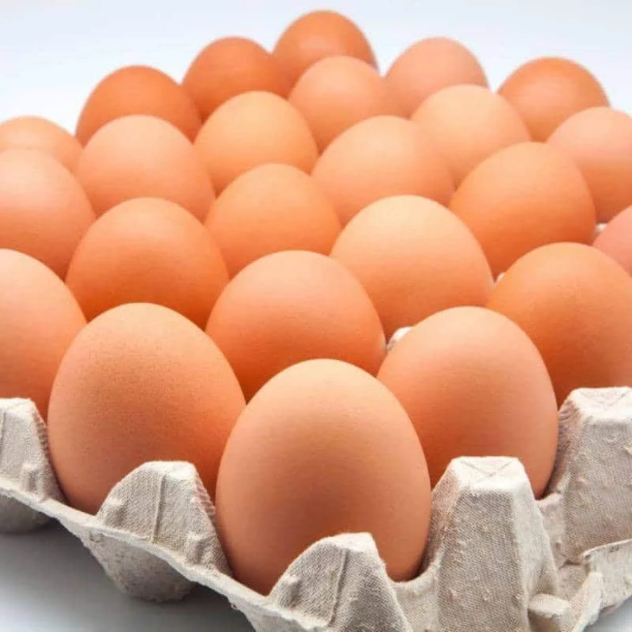 CARTON DE HUEVO