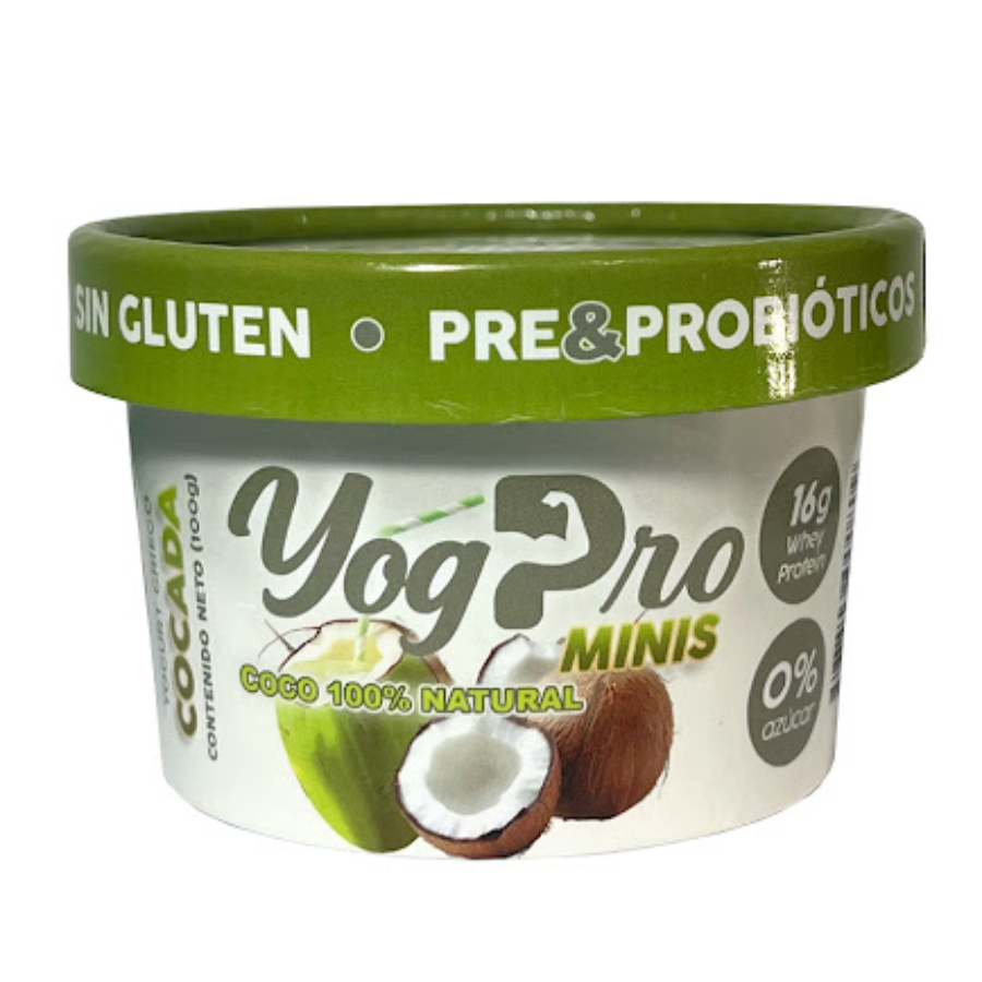 YOGPRO COCADA 100GR